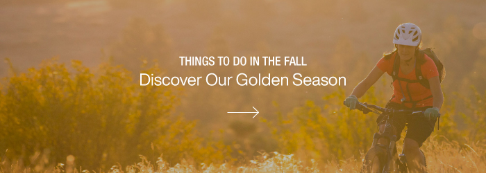 Things to do in the Fall