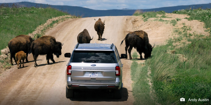 Travel Corridors and Scenic Drives